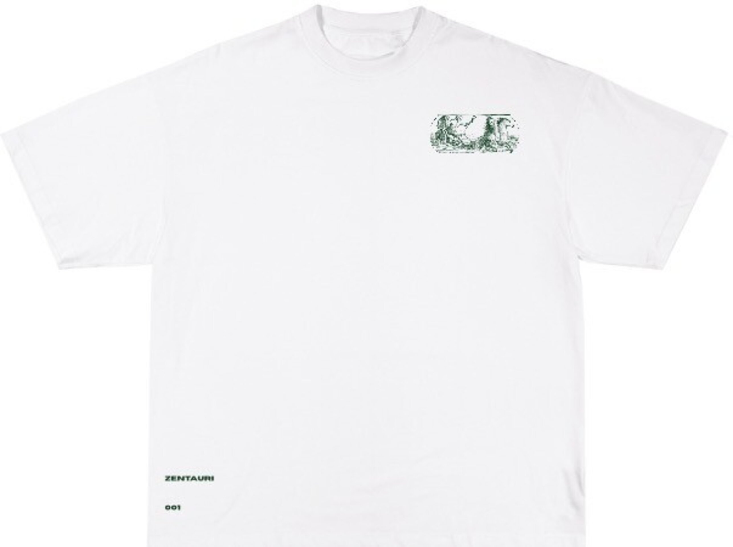 CAMISETA BLANCA CON DISEÑO VERDE - 2