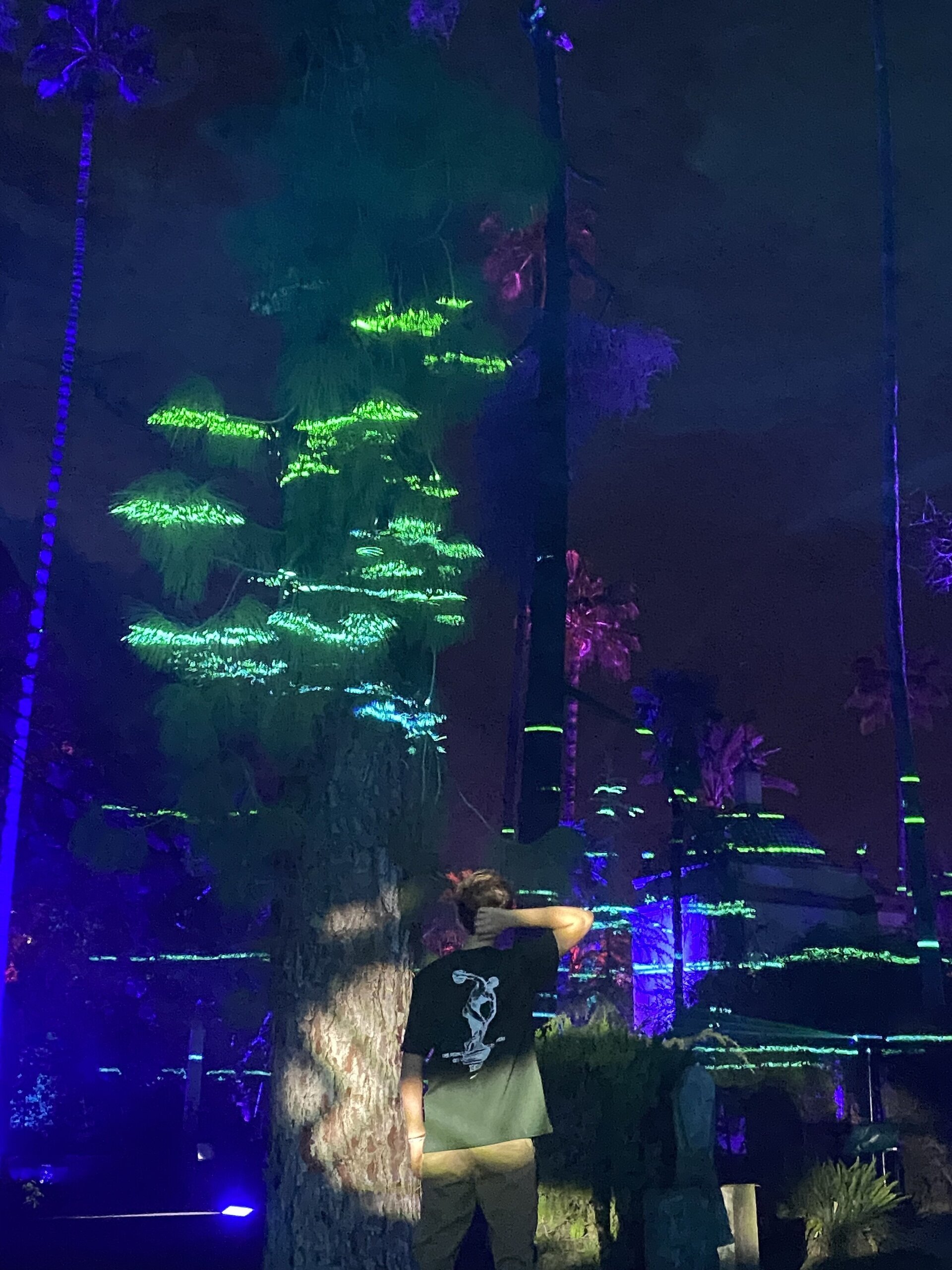 CAMISETA VERDE GRIEGA - 3